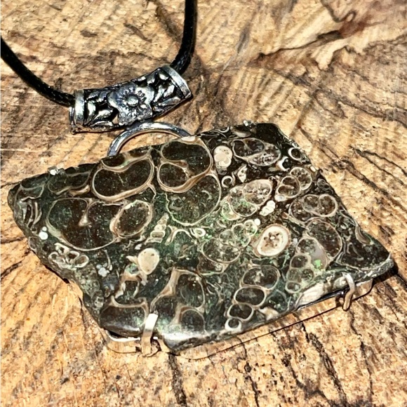 Large Elemia Turritella Agate Pendant 2” - Picture 3 of 12